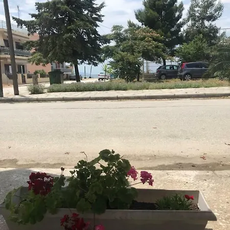 Soula's Sunshine Apartment *